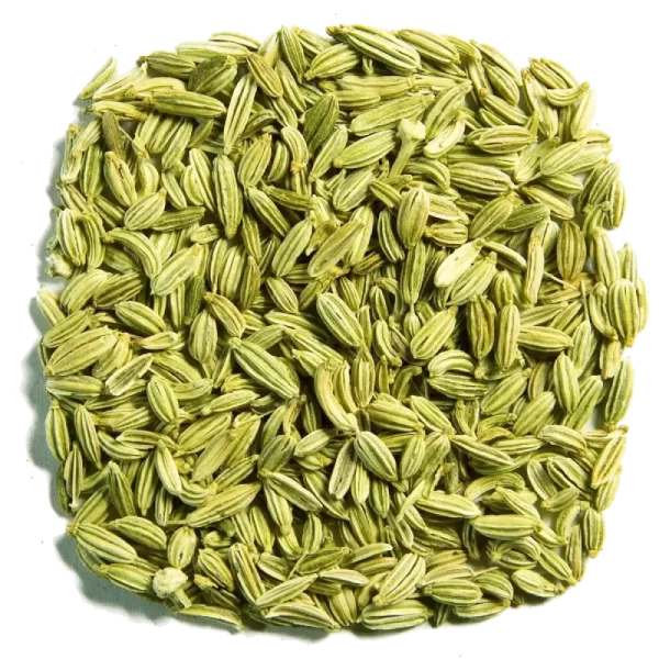 Fennel Seeds